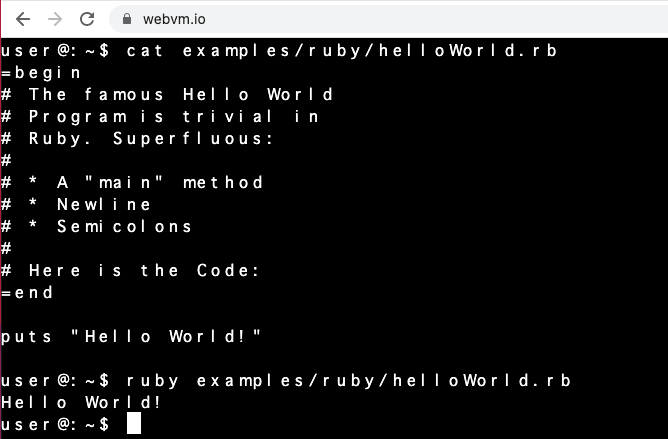 shellコマンドやrubyが動くことを確認
